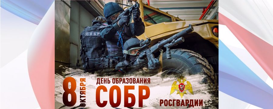 Директор Росгвардии генерал армии Виктор Золотов поздравил личный состав и ветеранов спецподразделений Днем СОБР