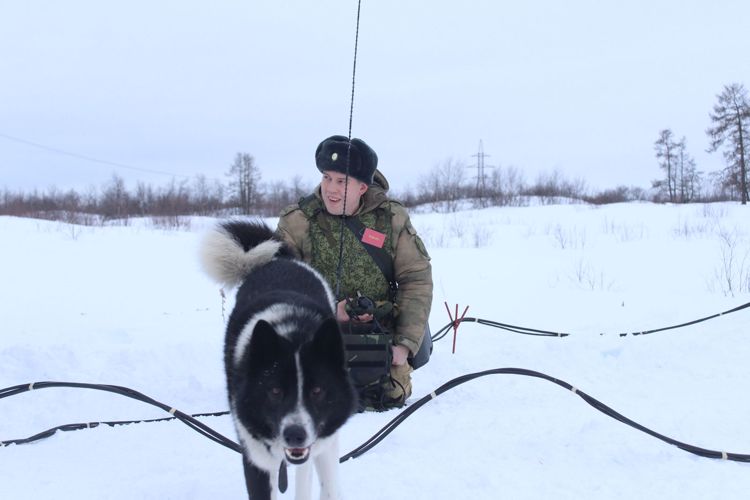 В День военного связиста прапорщик Росгвардии из Нарьян-Мара рассказал об истории и значении службы