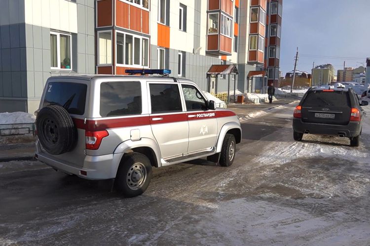 За неделю автопатрули Росгвардии пресекли 10 административных правонарушений на улицах Нарьян-Мара