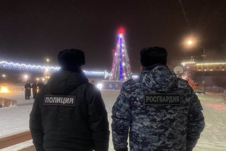 Росгвардия примет участие в обеспечении безопасности новогодних концертов в Ненецком автономном округе