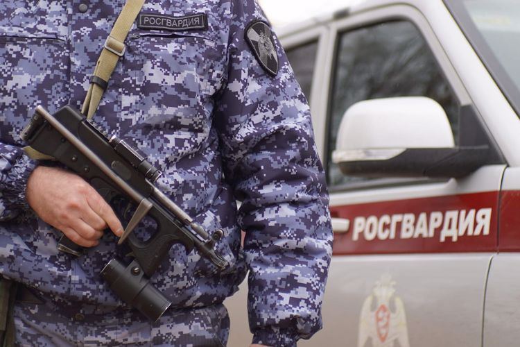 Голый нарушитель и бытовые конфликты: В Нарьян-Маре росгвардейцы 35 раз выезжали на помощь людям