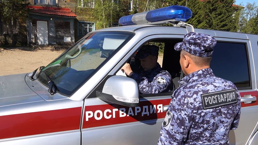 За минувшую неделю в Нарьян-Маре автопатрули Росгвардии 14 раз выезжали на помощь людям
