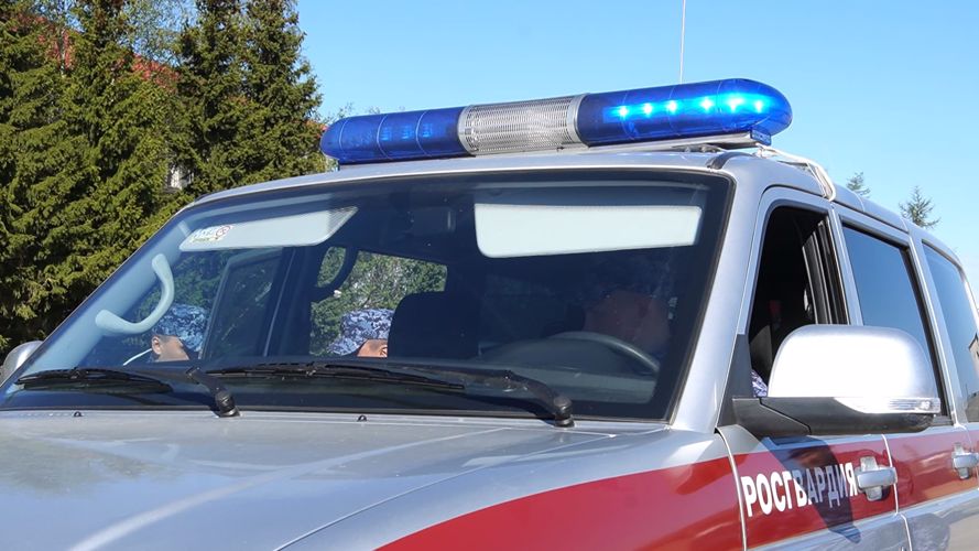 В Нарьян-Маре росгвардейцы задержали нетрезвых правонарушителей за стрельбу из пневматической винтовки и пистолета