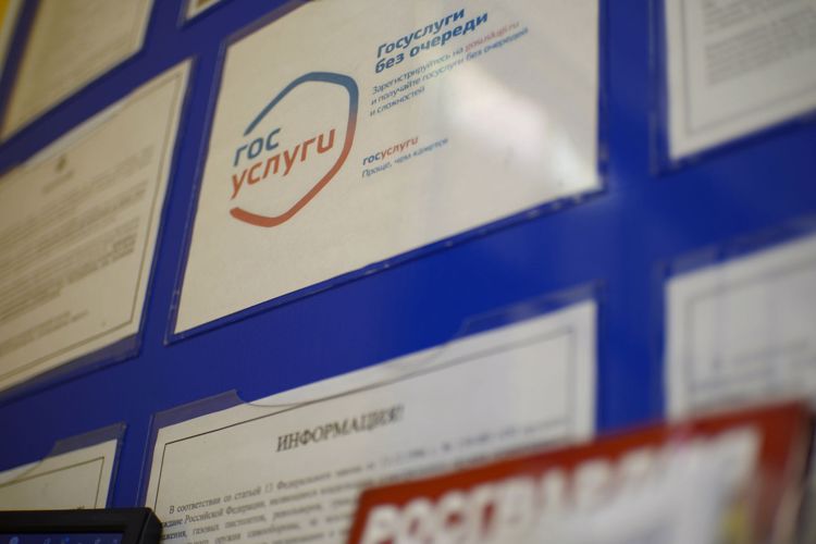 В Росгвардии рассказали, почему большинство жителей НАО выбирают электронные госуслуги