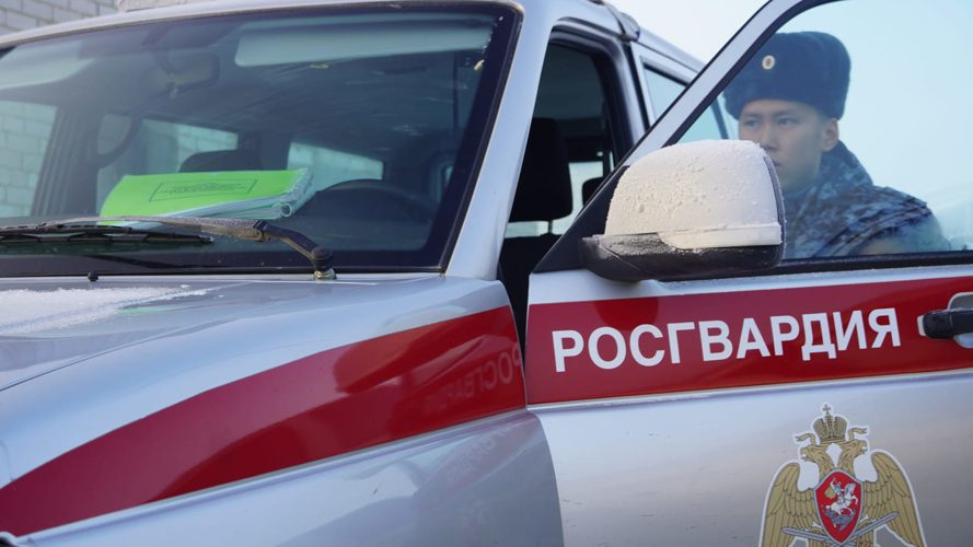 За неделю автопатрули Росгвардии пресекли 10 правонарушений на улицах Нарьян-Мара