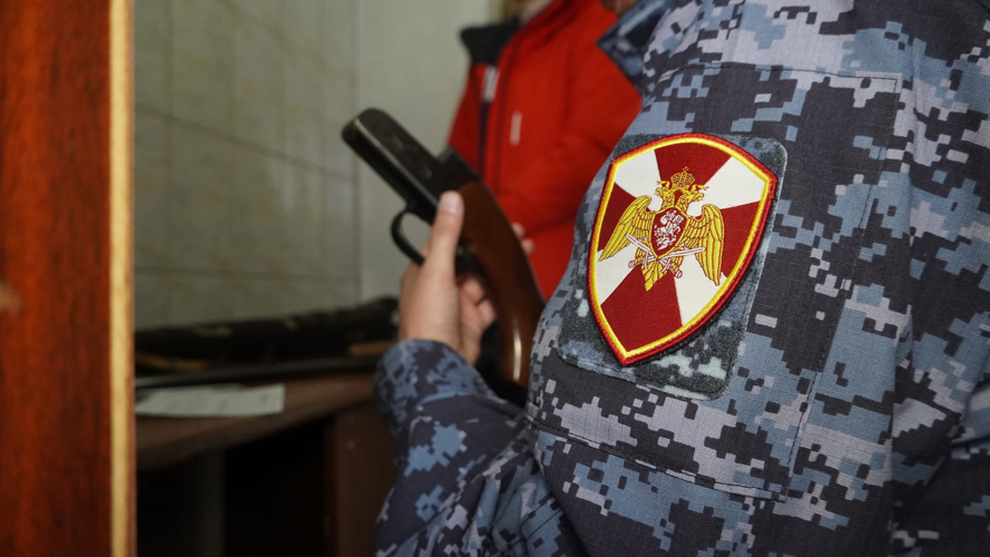 Росгвардия: За неделю из-за забывчивости жители Ненецкого автономного округа лишились шести ружей