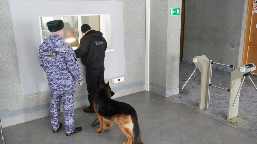 Росгвардия приняла участие в обеспечении безопасности президентских выборов на территории НАО