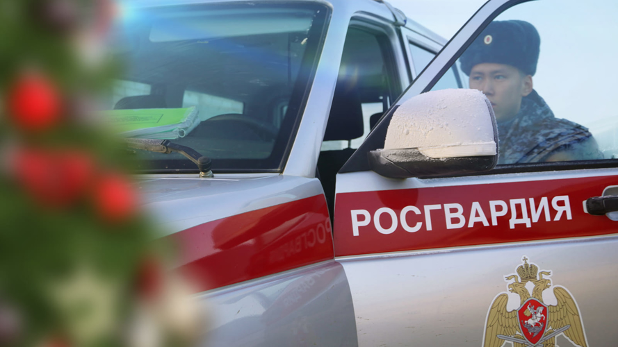 Мужчина в сугробе и ножевое ранение в НАО – на какие сообщения выезжала Росгвардия в новогодние праздники
