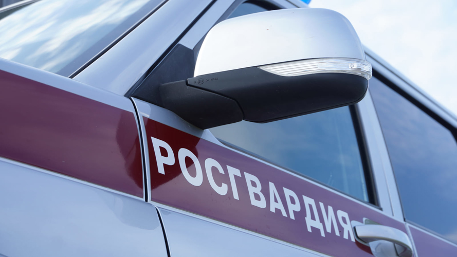 Пожар, угрозы и нетрезвые вокалисты – на какие сообщения выезжали автопатрули Росгвардии в НАО