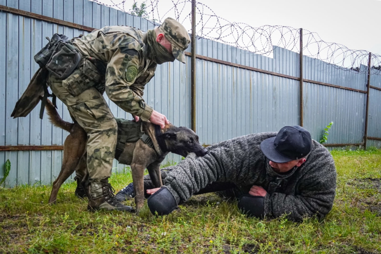 В Ненецком автономном округе стартовал летний период подготовки личного состава Росгвардии