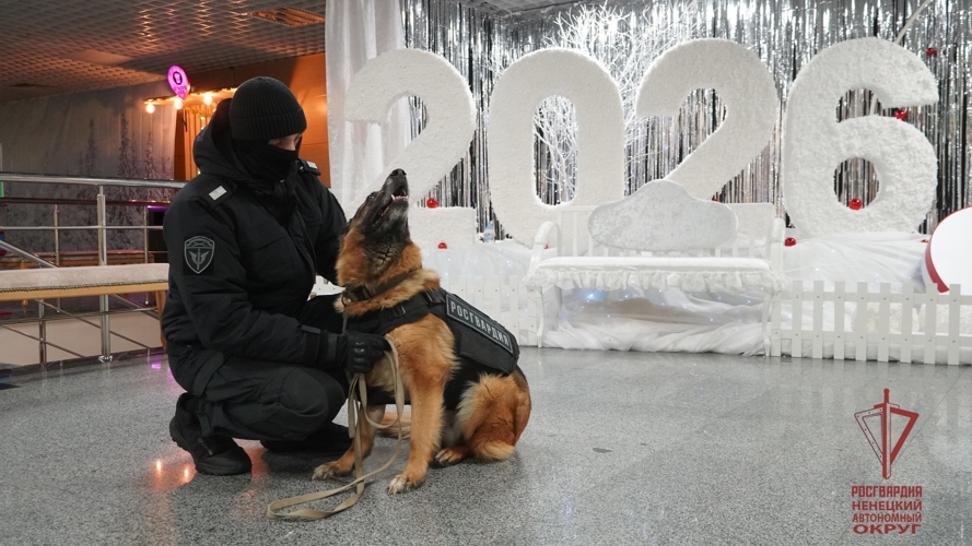Росгвардия и полиция обеспечили безопасность более 3000 участников встречи Нового года в НАО