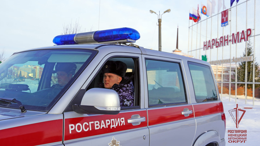 Драка в баре и хулиганы в парке Нарьян-Мара – куда выезжала Росгвардия в новогодние праздники