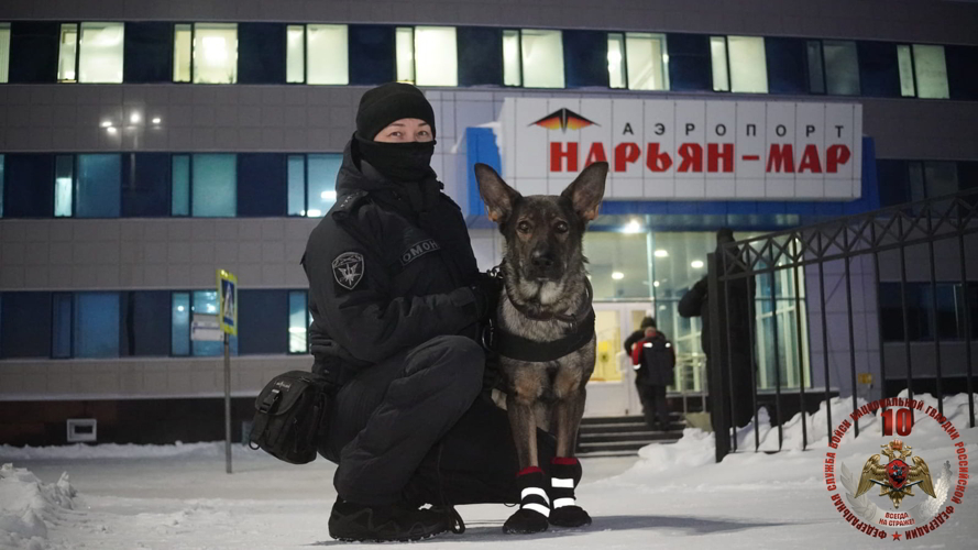 Росгвардеец из НАО раскрыл секреты инженерной службы на Севере