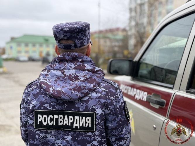 За неделю сотрудники Отдела вневедомственной охраны Нарьян-Мара выезжали на вызовы 14 раз