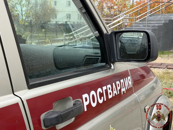 За неделю росгвардейцы Нарьян-Мара выезжали на вызовы 8 раз